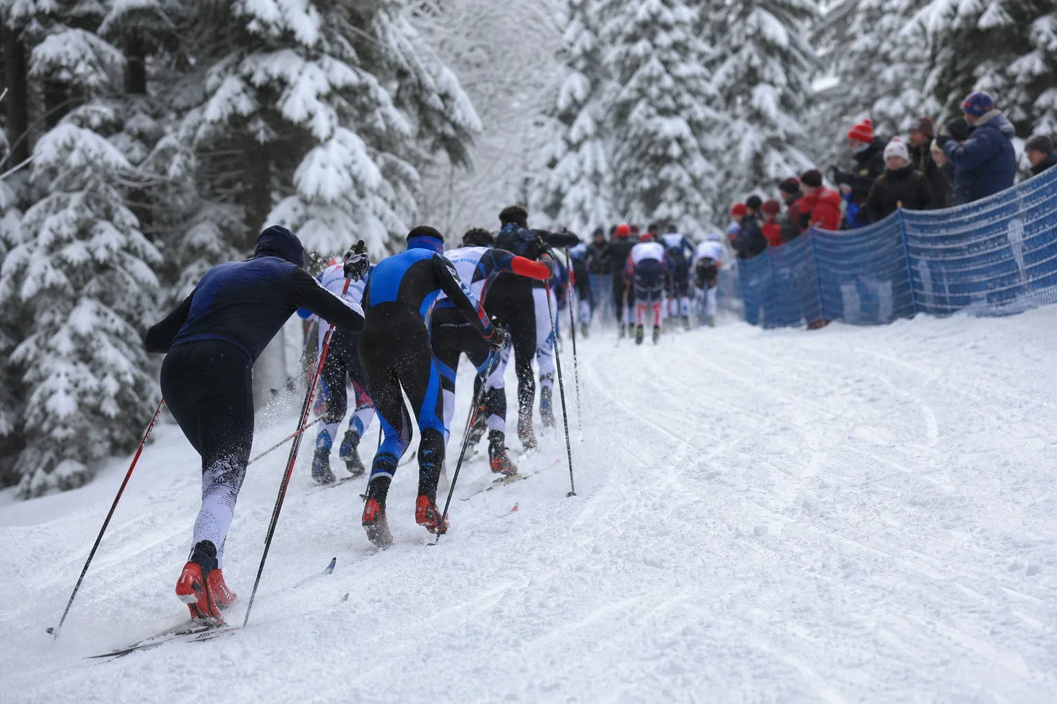 Längdskidåkning i Vinter OS 2026